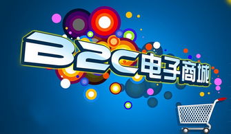 金博科技 東莞b2c商城 b2c系統(tǒng)開(kāi)發(fā)